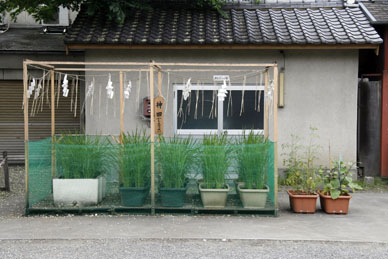 写真7