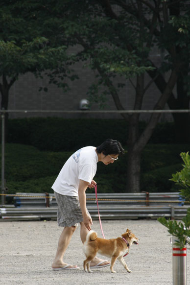 写真10