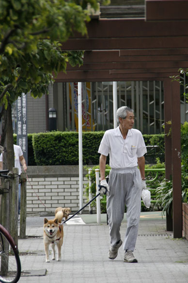 写真10