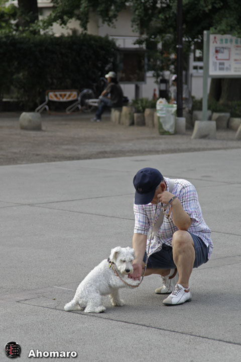 写真00