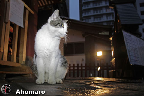 写真00