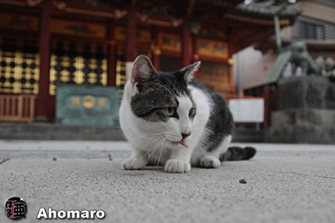 写真00