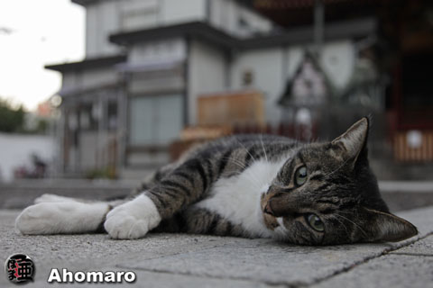 写真00