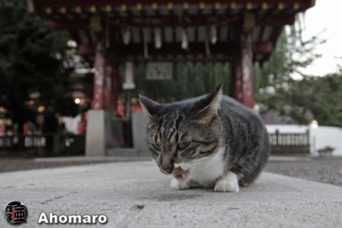 写真00