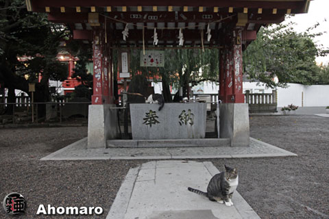 写真00