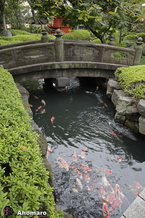 写真00