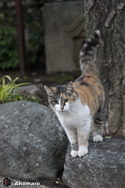 写真00