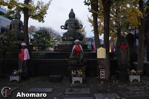写真00