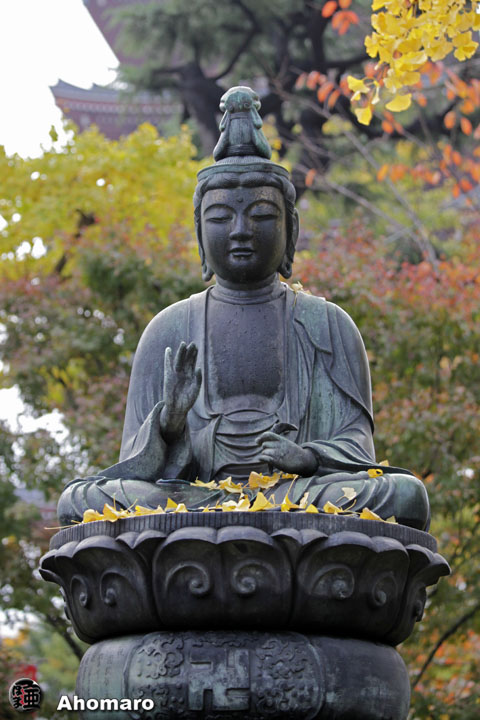写真00