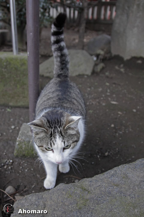 写真00