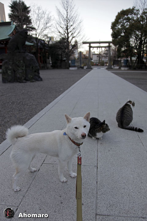 写真00