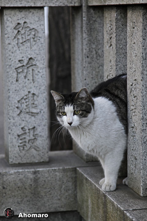 写真00