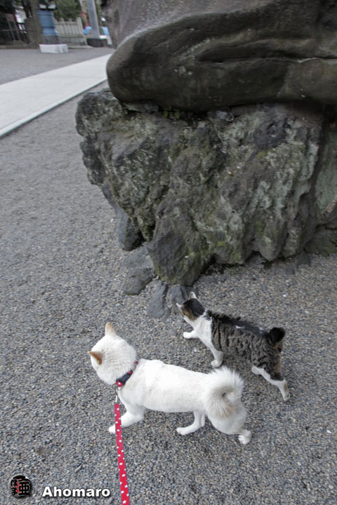 写真00
