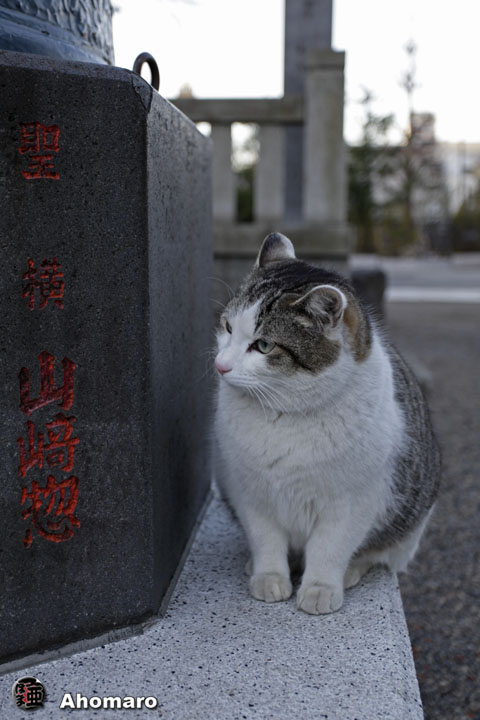 写真00