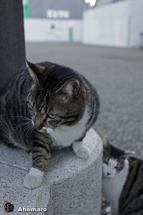 写真00
