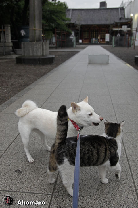 写真00