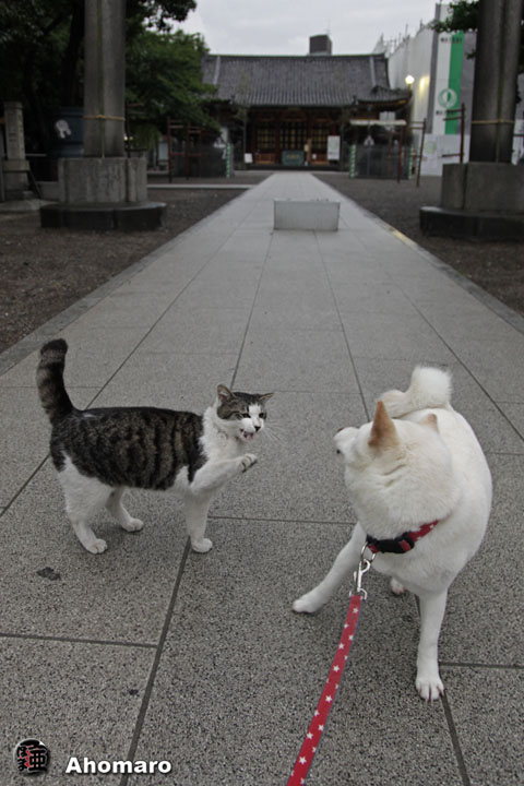 写真00