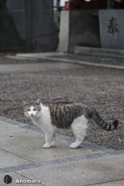 写真00