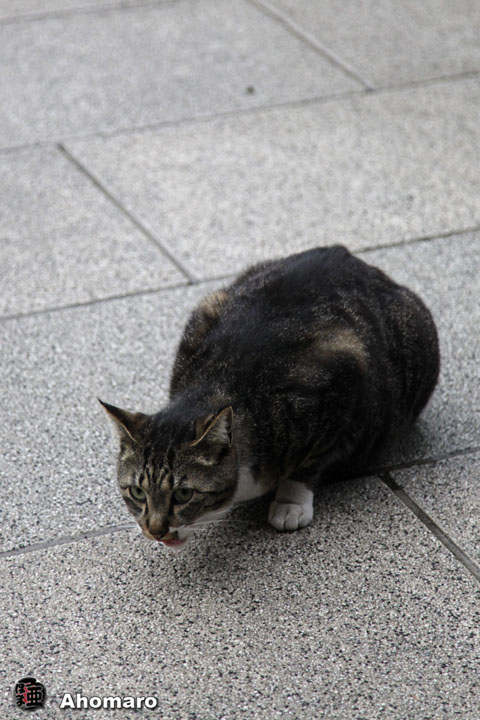 写真00
