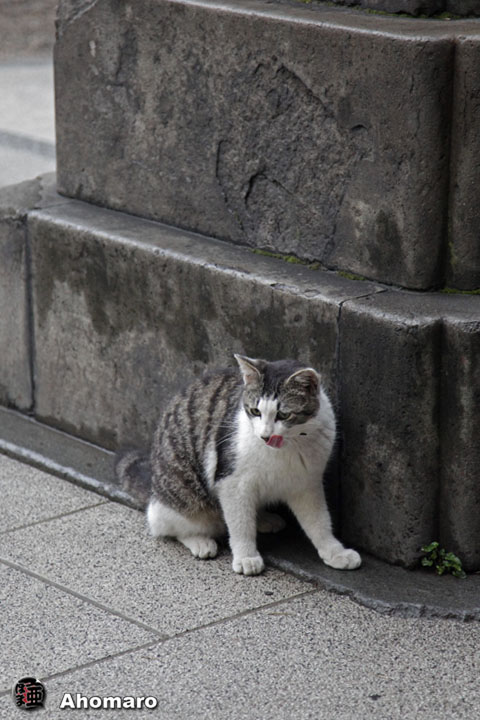 写真00