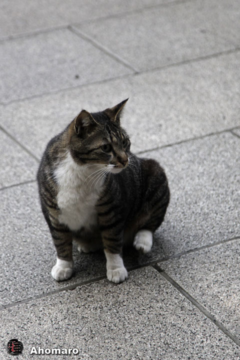 写真00
