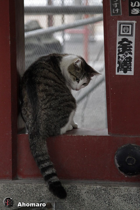 写真00
