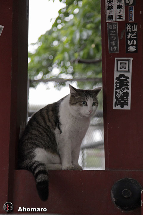 写真00