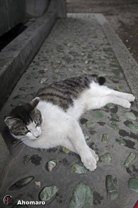 写真00