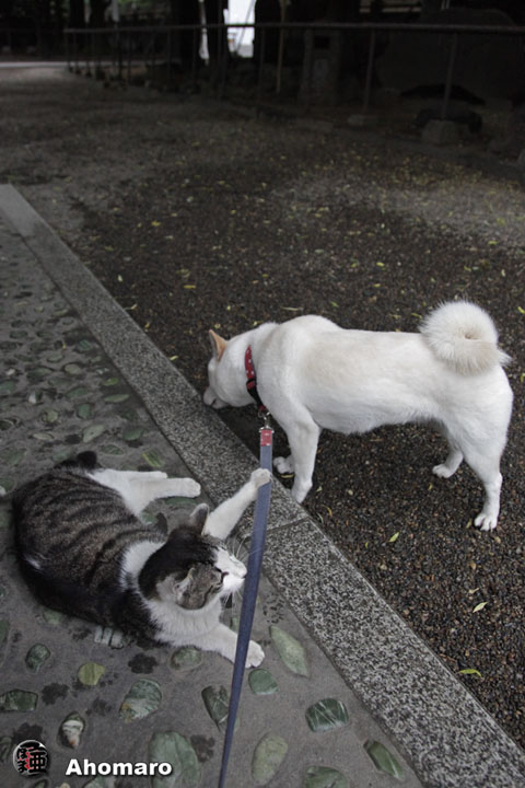 写真00