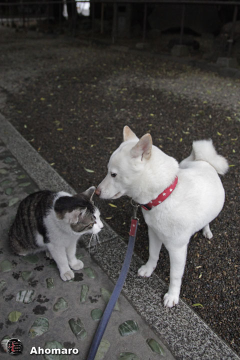写真00