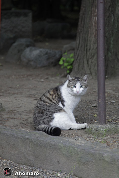 写真00