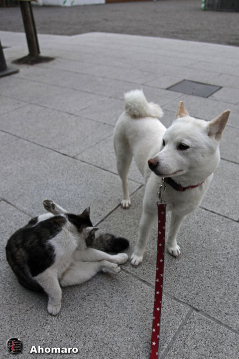 写真00