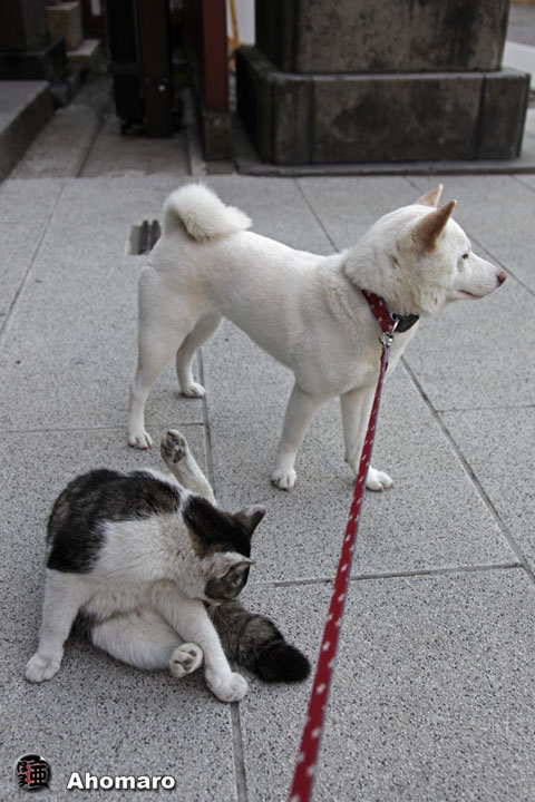 写真00