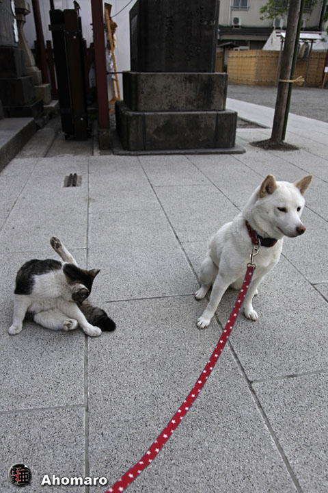 写真00