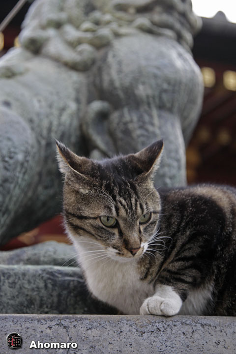 写真00
