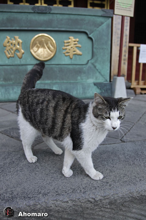 写真00