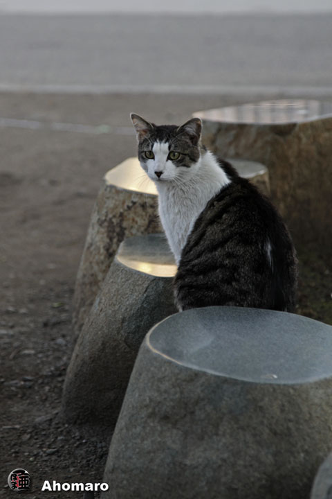 写真00