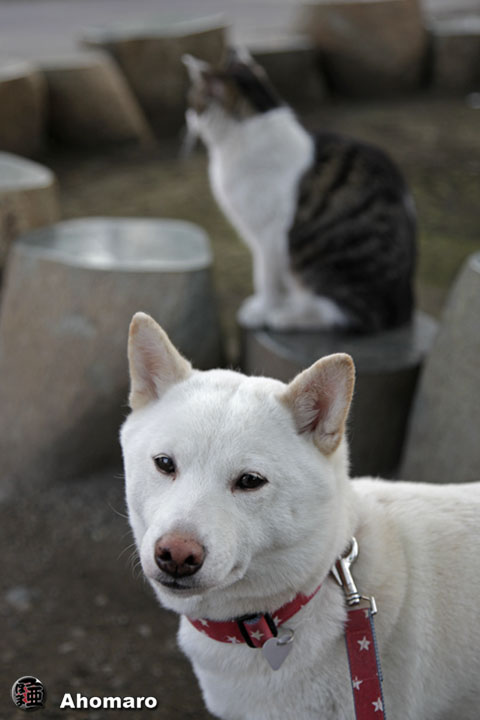 写真00