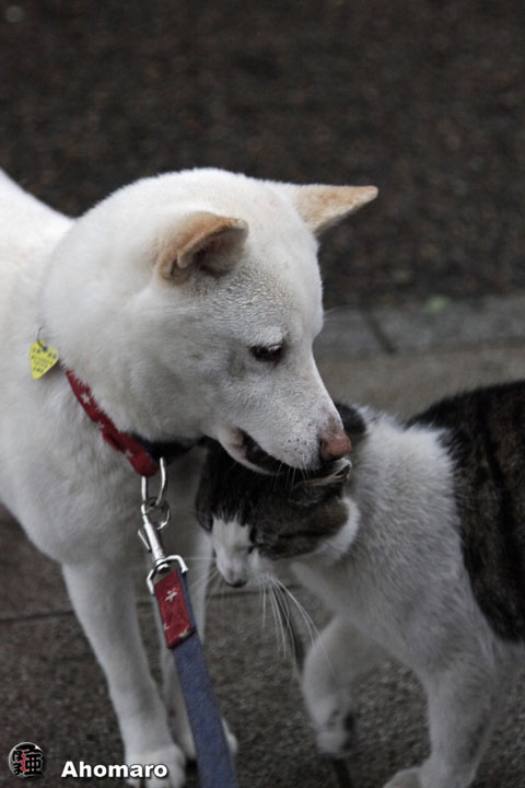 写真00
