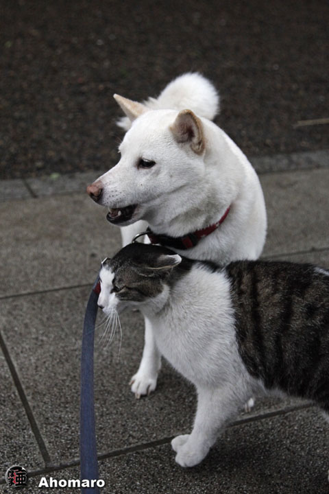 写真00