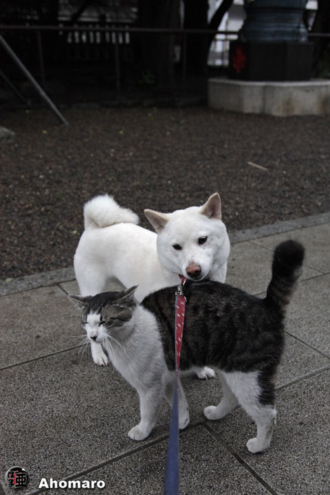 写真00