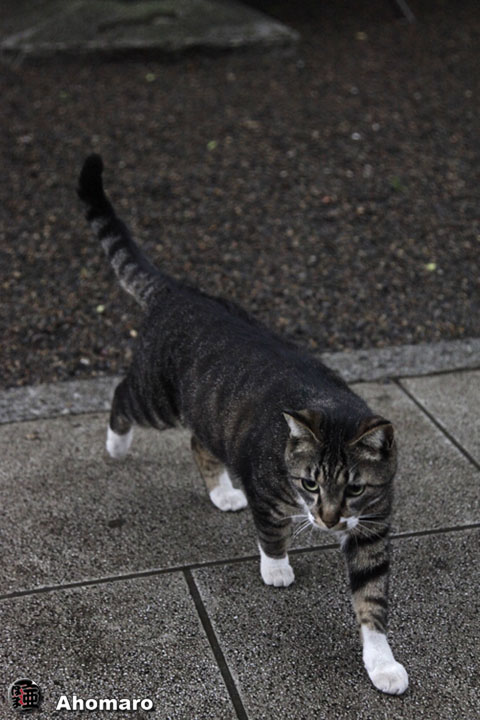 写真00