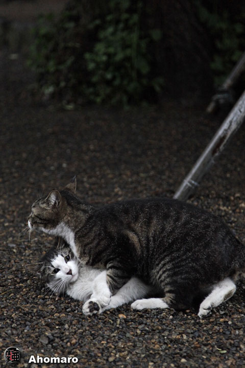 写真00