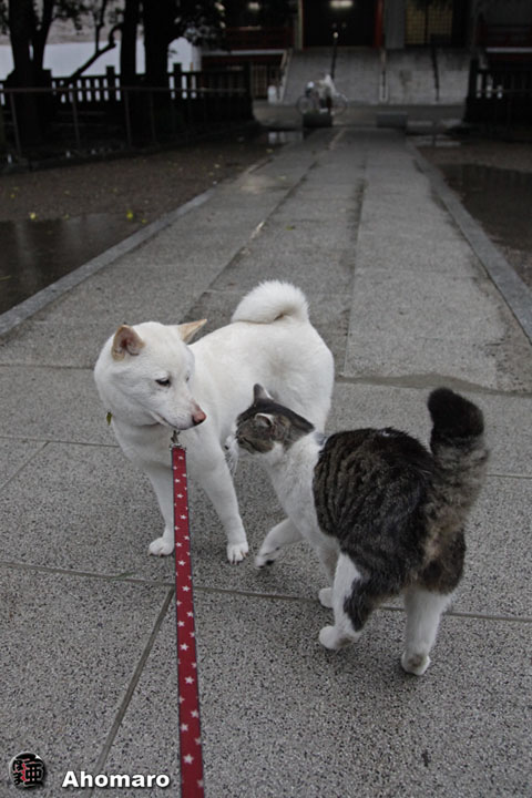 写真00