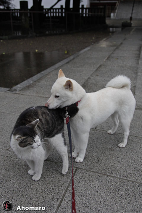 写真00