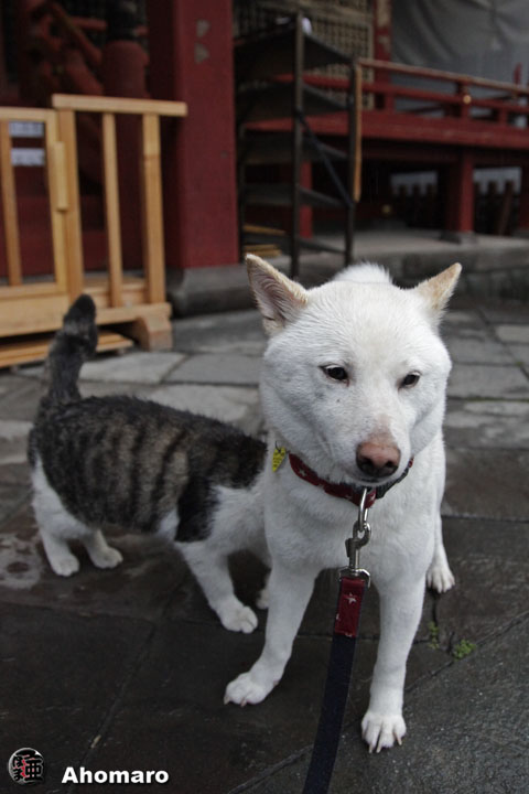 写真00
