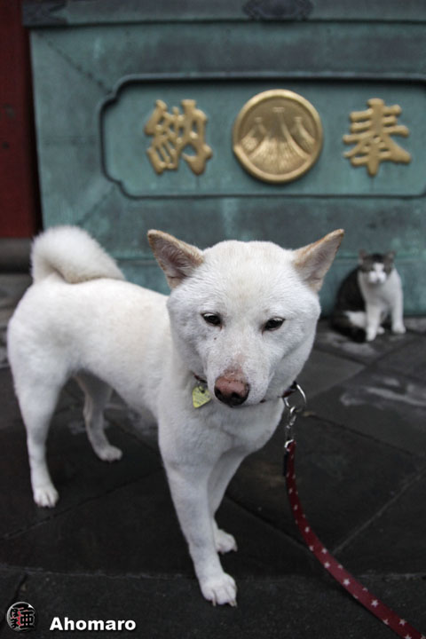 写真00