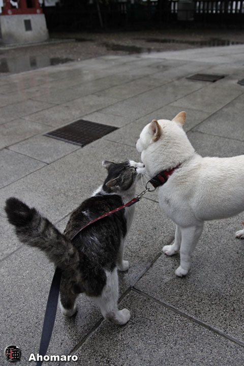 写真00