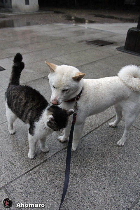 写真00