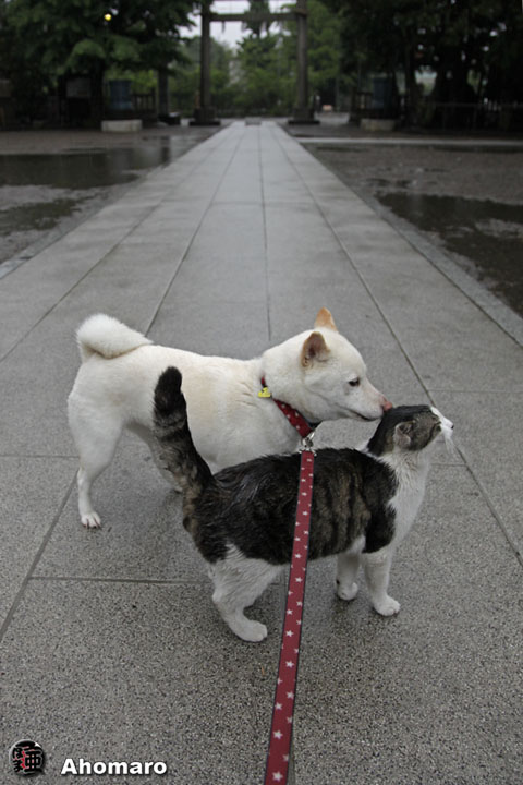 写真00